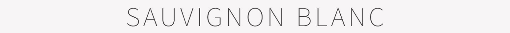 Picture for category Sauvignon Blanc