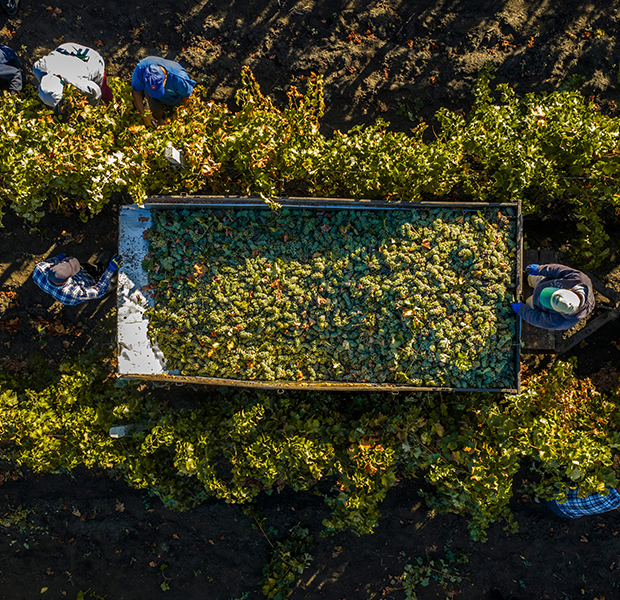 Reducing Waste in Production