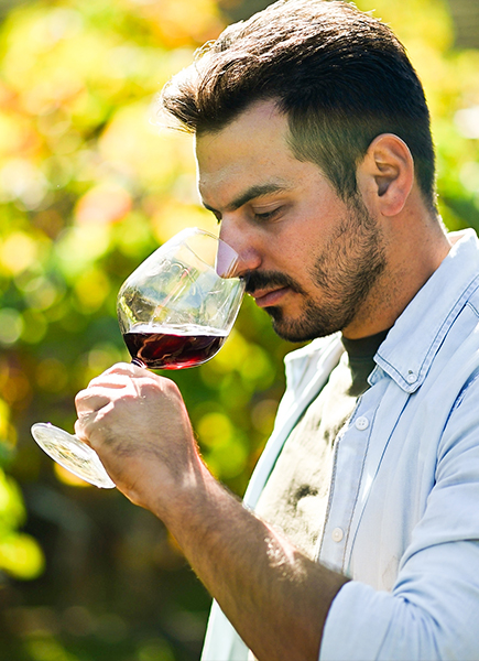 What Does “Single Vineyard” Actually Mean?