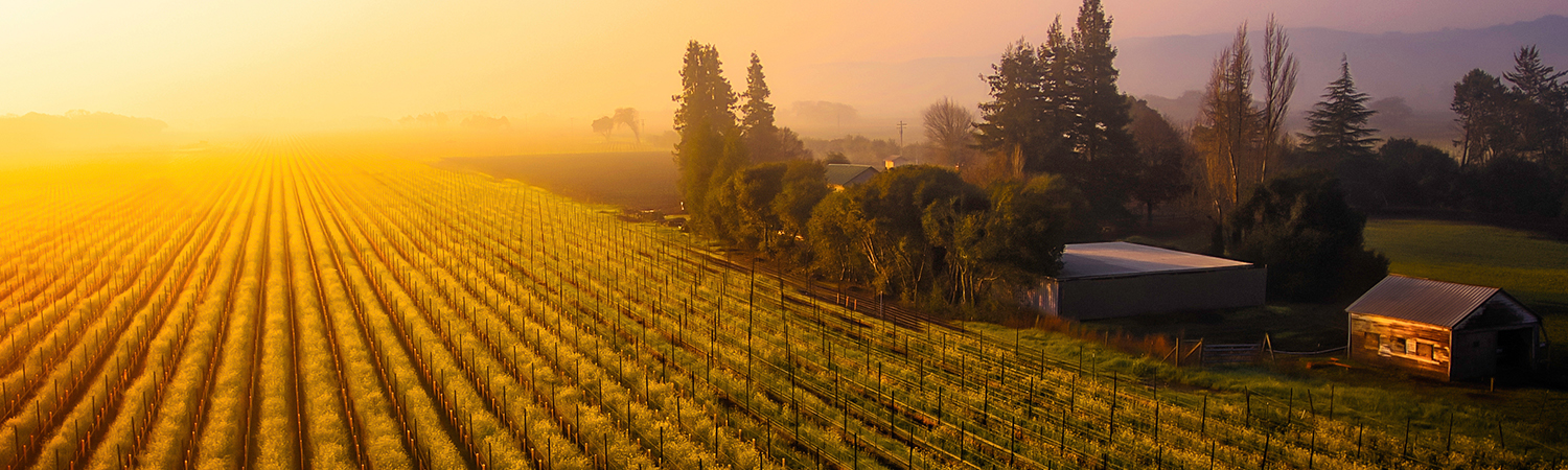 Appreciation for Quality, Variety & Craftmanship