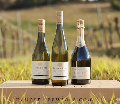 Single Vineyard Wines Explained