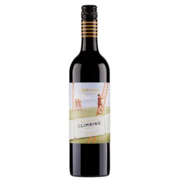 Picture of Climbing Merlot 750ml