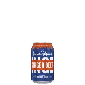 Picture of James Squire Ginger Beer Cans 330ml
