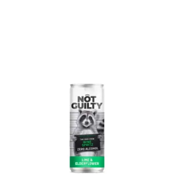 Picture of Not Guilty Lime & Elderflower 250ml
